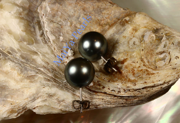 Pearl Studs Earrings - AAA Tahiti Black Pearl Dark Grey with Greenish overtone